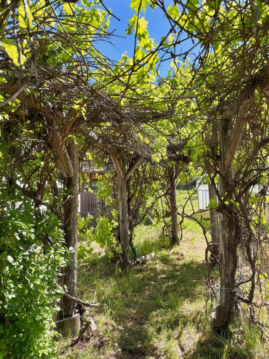 2501 Main Ranch Road Redwood Valley CA 95470