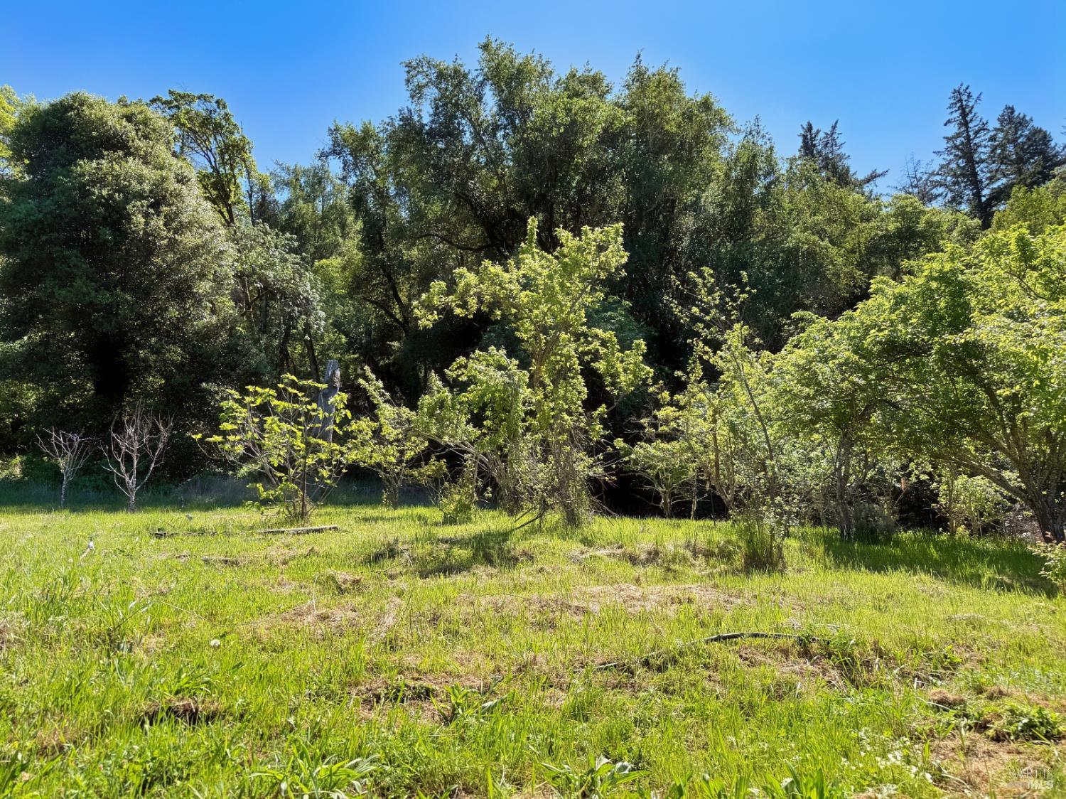 2501 Main Ranch Road Redwood Valley CA 95470