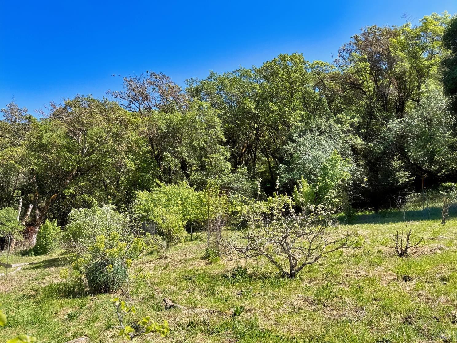 2501 Main Ranch Road Redwood Valley CA 95470