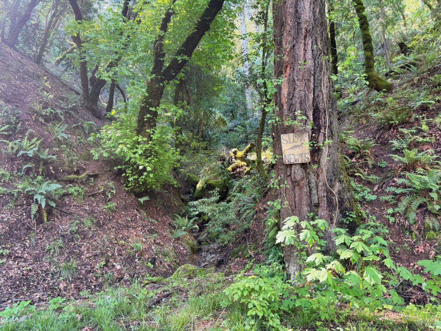 2501 Main Ranch Road Redwood Valley CA 95470
