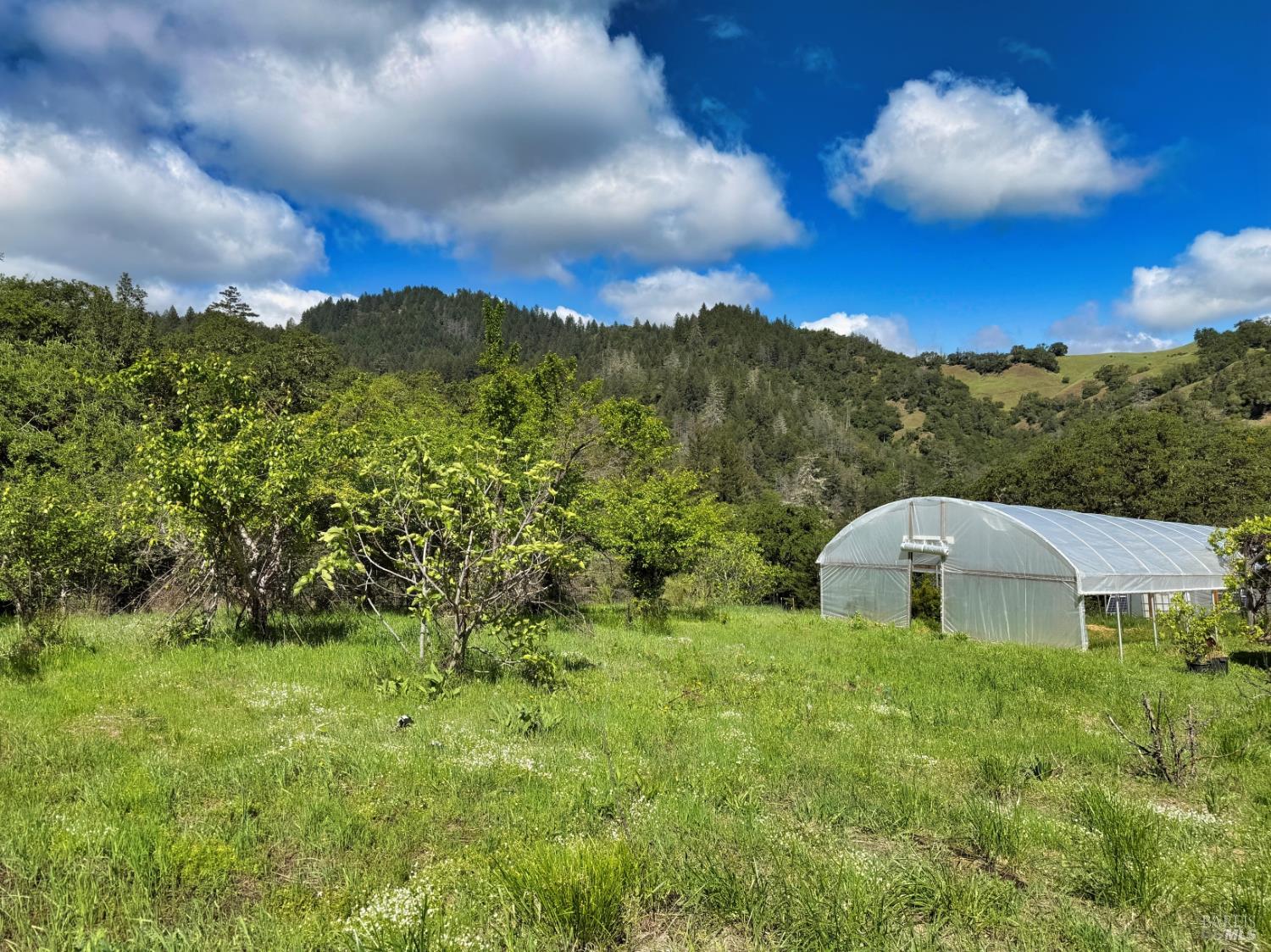 2501 Main Ranch Road Redwood Valley CA 95470