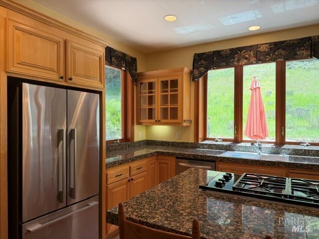 16875 Coleman Valley Road Occidental CA 95465