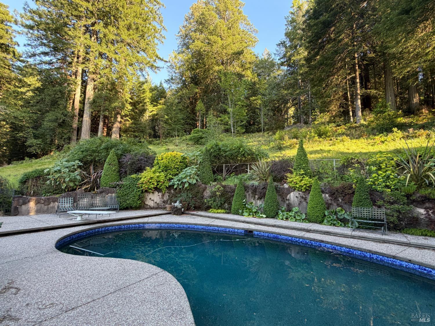 16875 Coleman Valley Road Occidental CA 95465