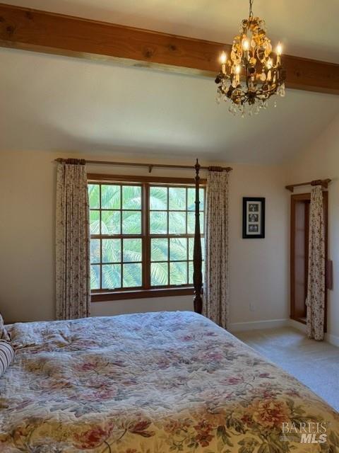 16875 Coleman Valley Road Occidental CA 95465