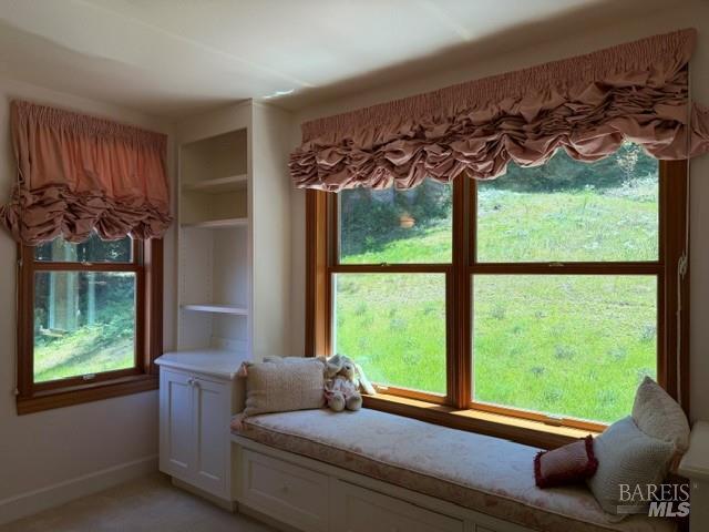 16875 Coleman Valley Road Occidental CA 95465