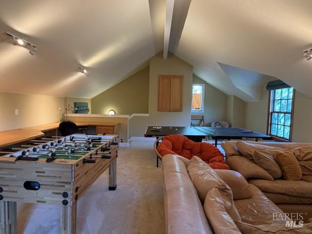 16875 Coleman Valley Road Occidental CA 95465