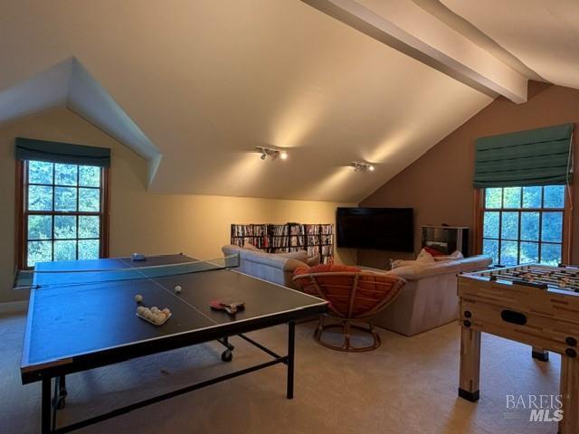 16875 Coleman Valley Road Occidental CA 95465