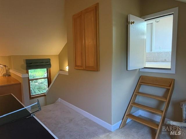 16875 Coleman Valley Road Occidental CA 95465