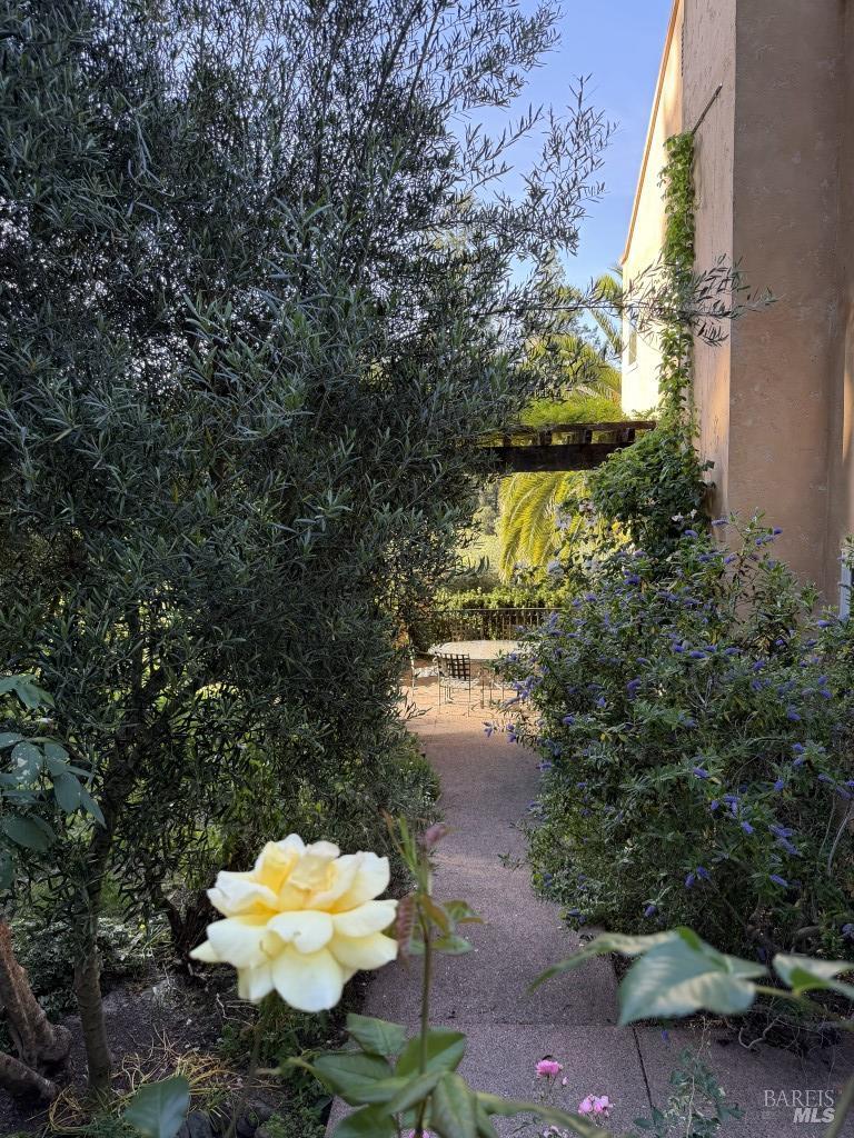 16875 Coleman Valley Road Occidental CA 95465