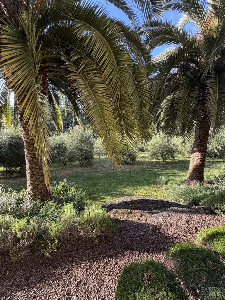 16875 Coleman Valley Road Occidental CA 95465