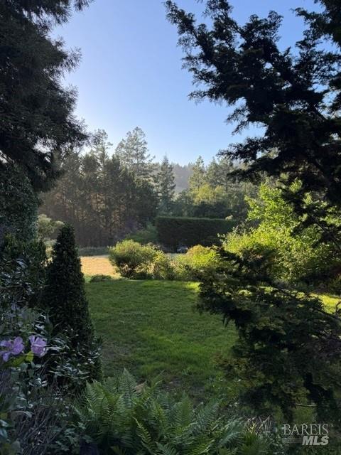 16875 Coleman Valley Road Occidental CA 95465