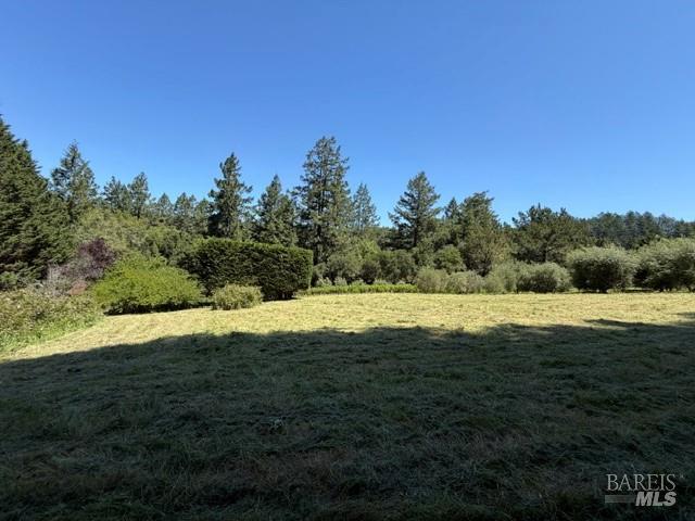 16875 Coleman Valley Road Occidental CA 95465