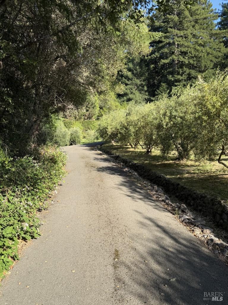 16875 Coleman Valley Road Occidental CA 95465
