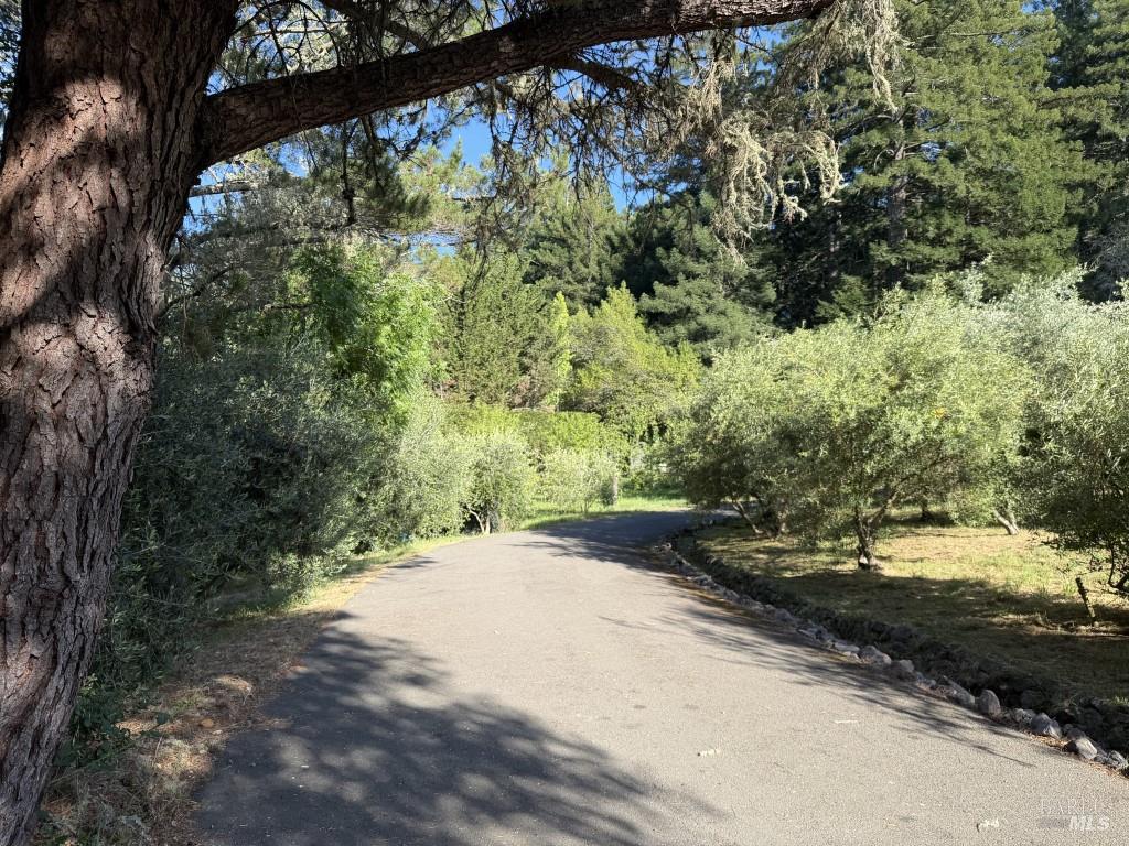 16875 Coleman Valley Road Occidental CA 95465