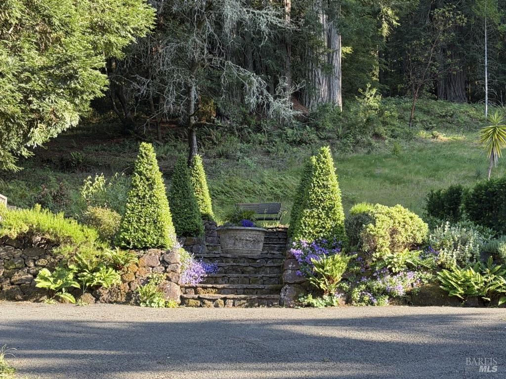 16875 Coleman Valley Road Occidental CA 95465