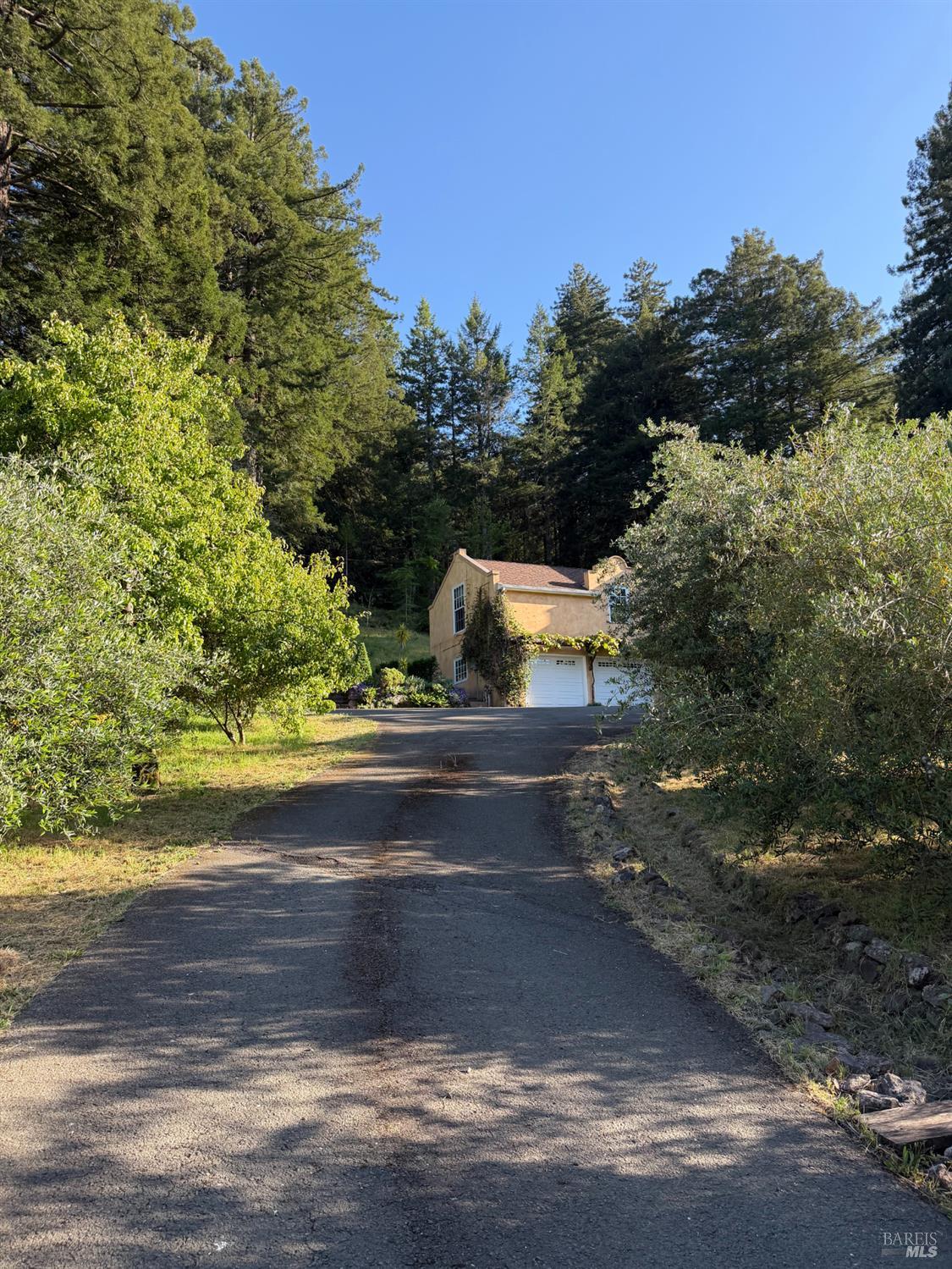 16875 Coleman Valley Road Occidental CA 95465