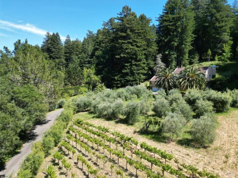 16875 Coleman Valley Road Occidental CA 95465