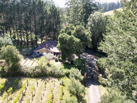 16875 Coleman Valley Road Occidental CA 95465