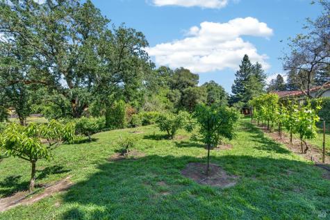 1541 Chablis Road Healdsburg CA 95448