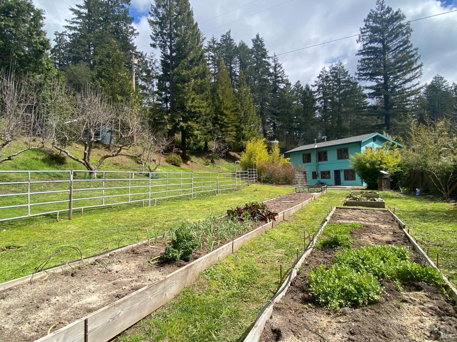 65401 Highway 271 Leggett CA 95585
