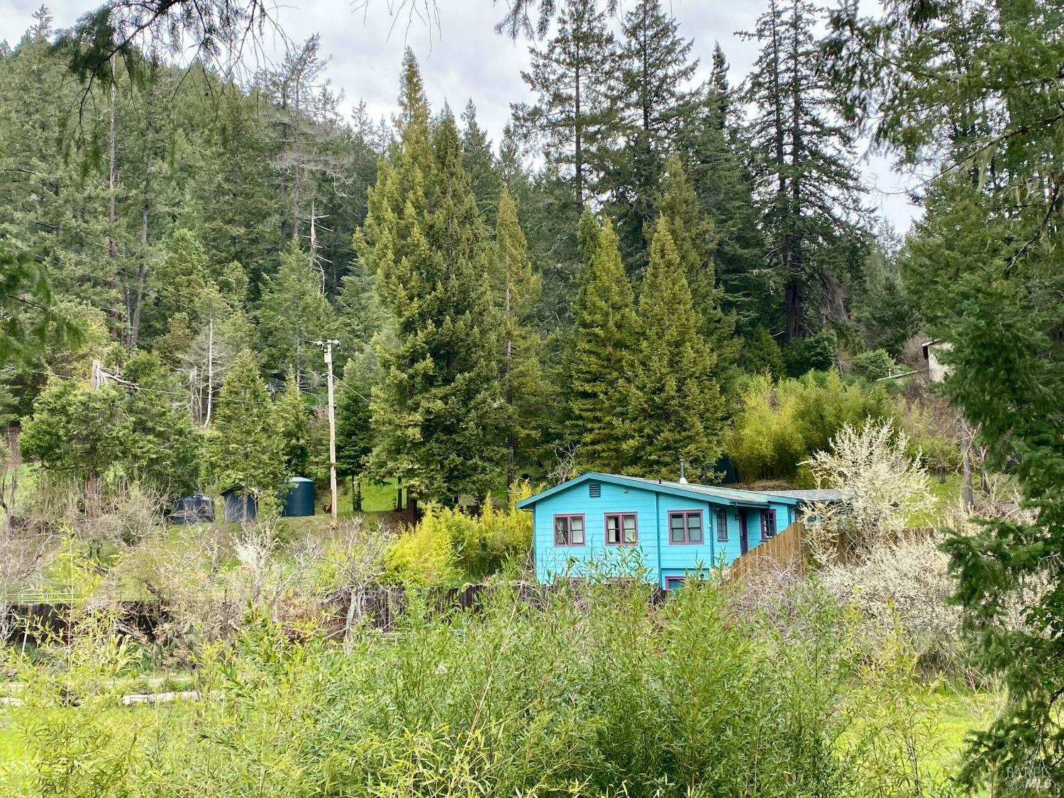 65401 Highway 271 Leggett CA 95585