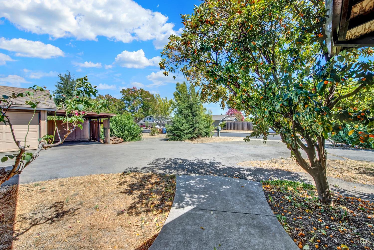 1290 Sweetbriar Drive Napa CA 94558