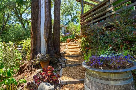 8152-8168 Grape Avenue Forestville CA 95436