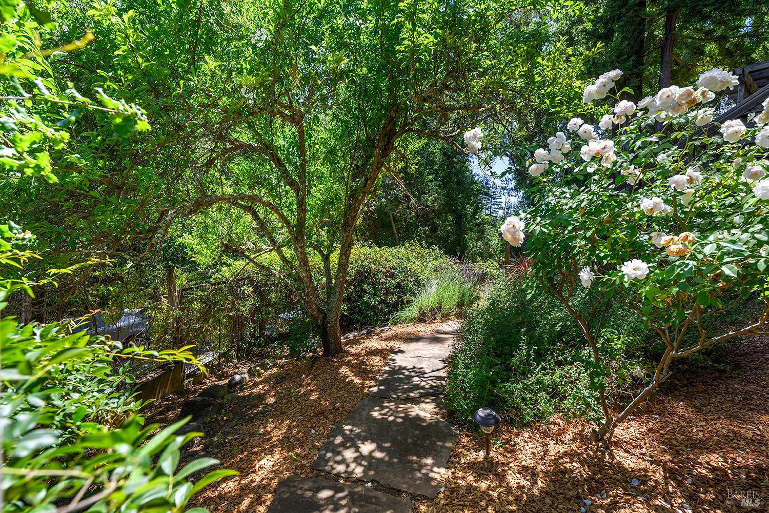 8152-8168 Grape Avenue Forestville CA 95436