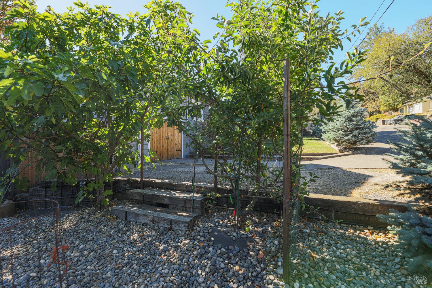 441 North Street Willits CA 95490
