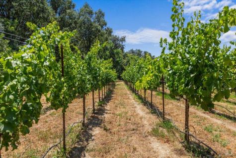 5647-5641 Highway 128 Highway Geyserville CA 95441