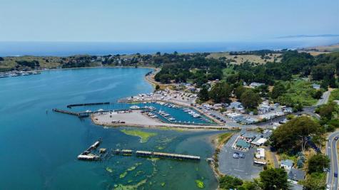 1165 Highway 1 Bodega Bay CA 94923