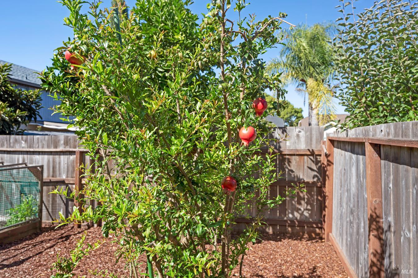 1136 Navarro Street Santa Rosa CA 95401
