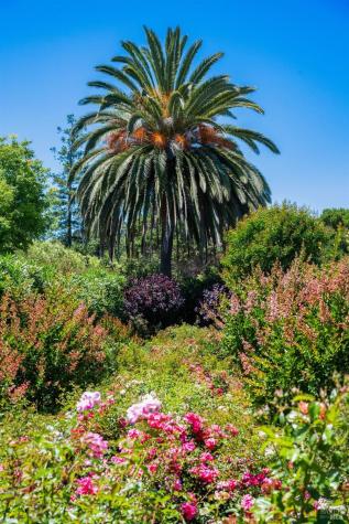 82 Mcnear Drive San Rafael CA 94901