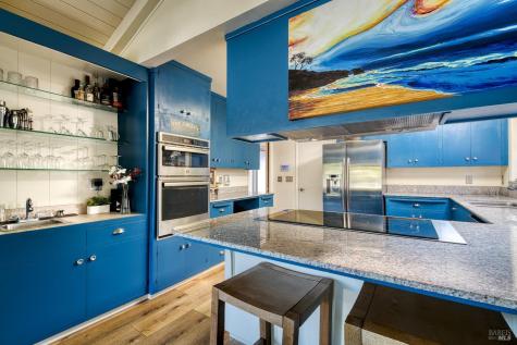 10 Capri Court San Rafael CA 94901