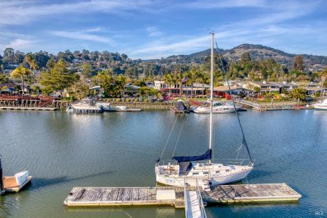 10 Capri Court San Rafael CA 94901