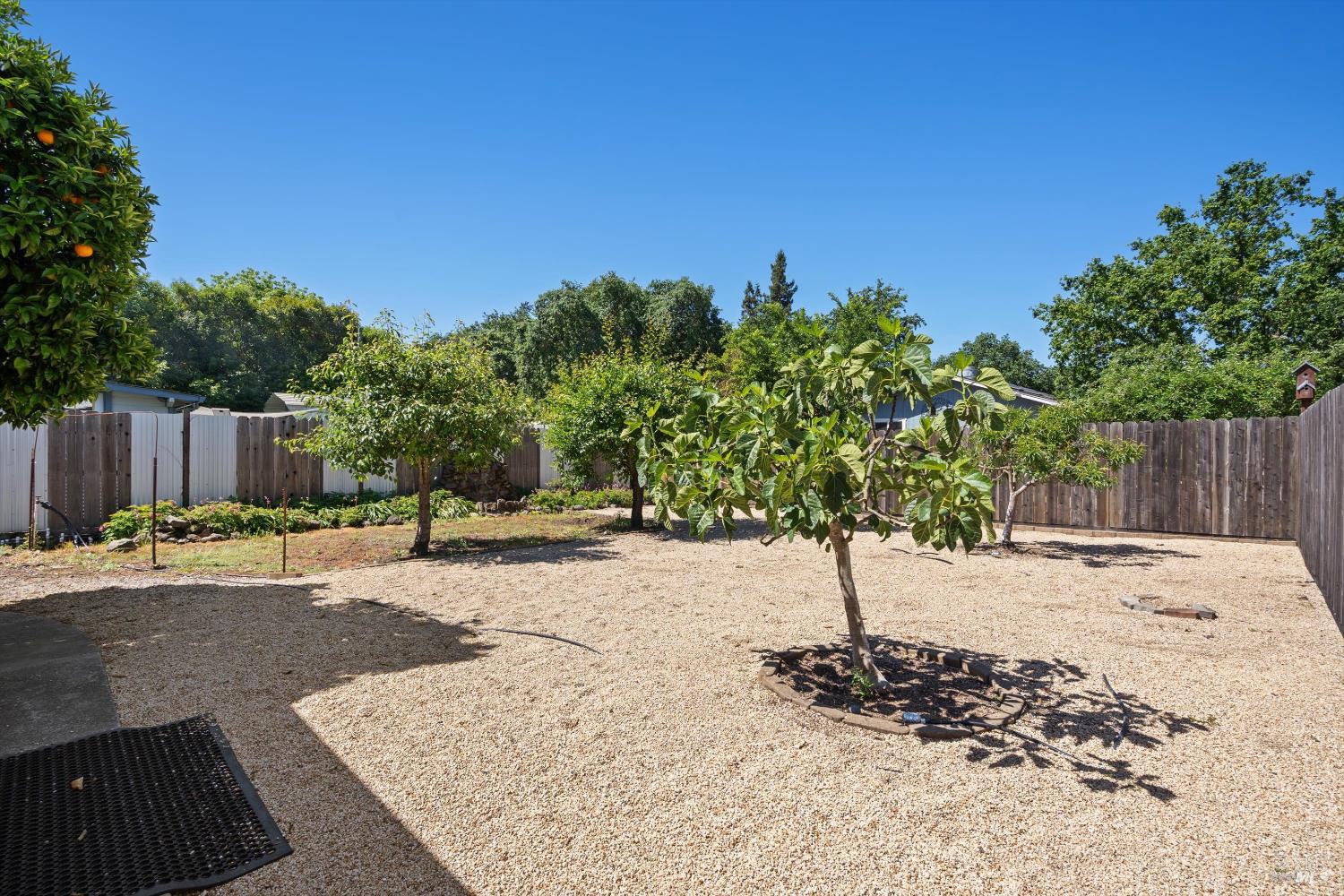 5519 Kay Drive Windsor CA 95492