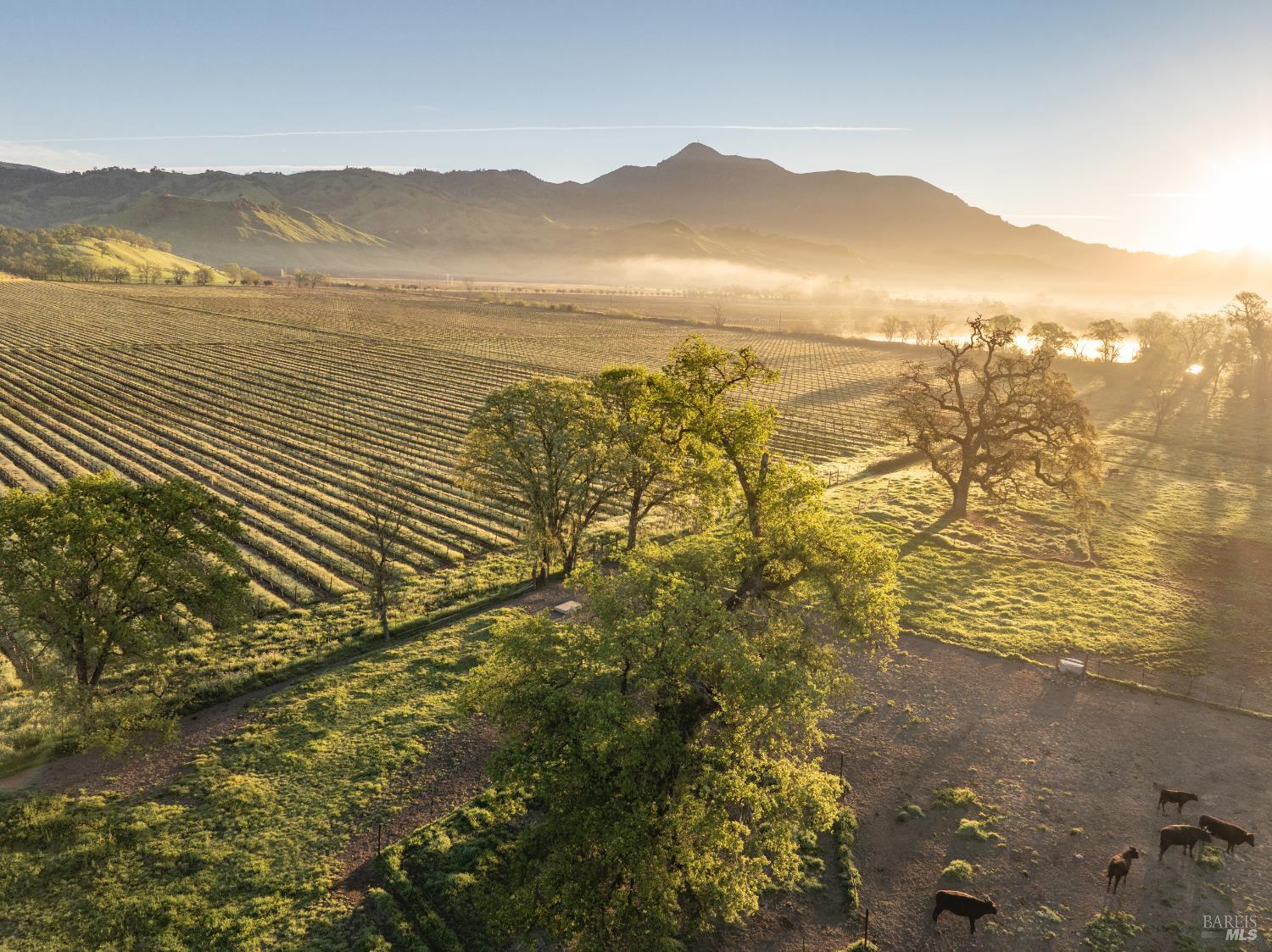 13800 Highway 128 Calistoga CA 94515