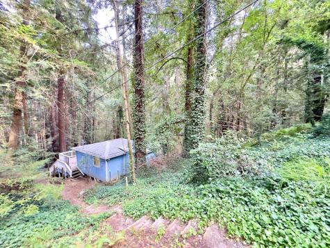 18200 Highway 116 Guerneville CA 95446