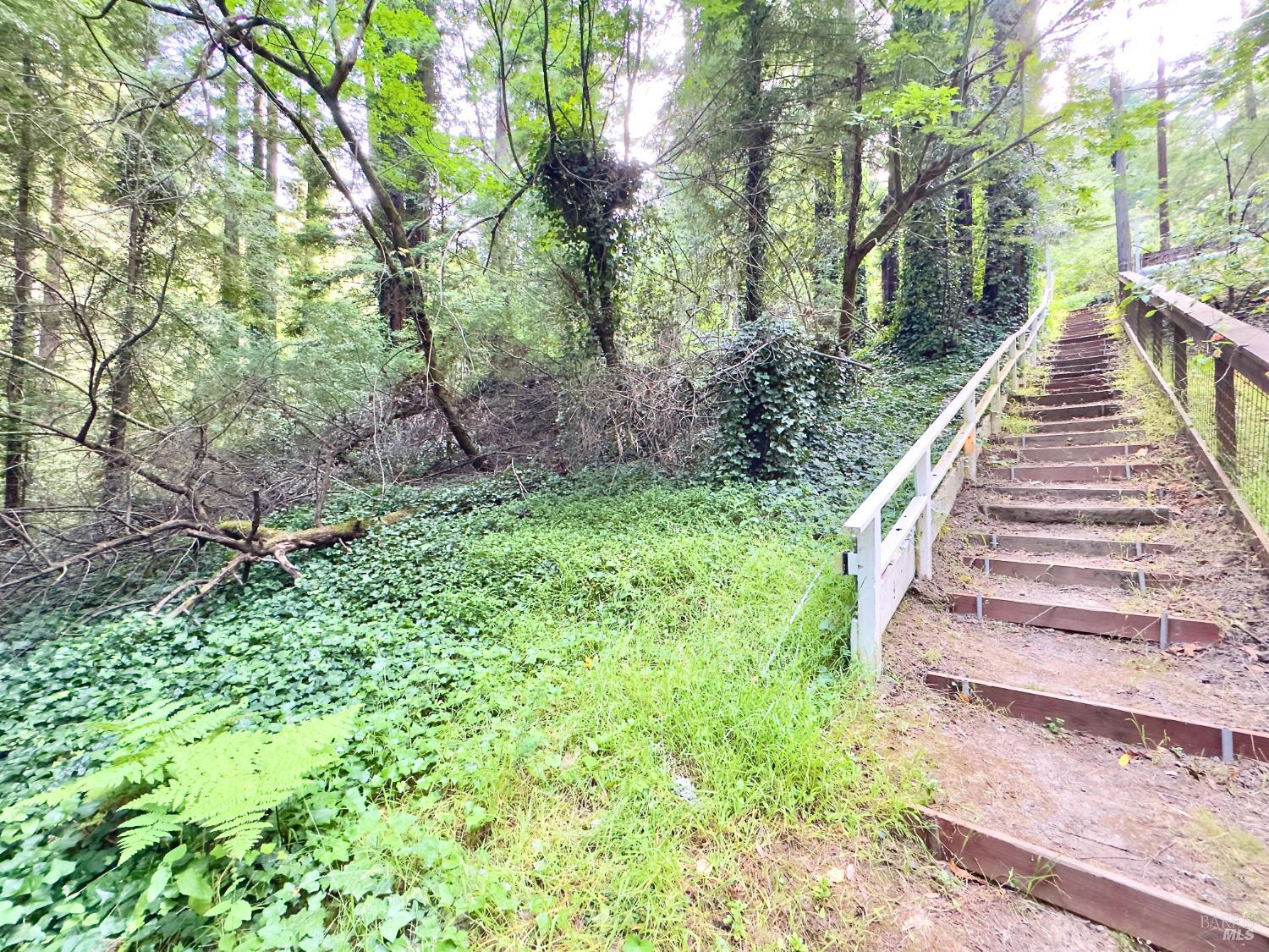 18200 Highway 116 Guerneville CA 95446