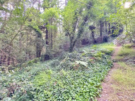 18200 Highway 116 Guerneville CA 95446