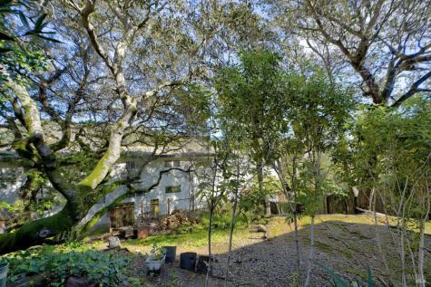 250 Prospect Drive San Rafael CA 94901