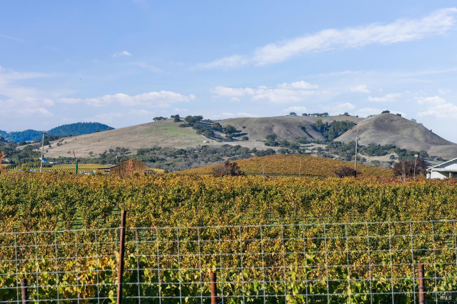 1301 Duhig Road Napa CA 94559