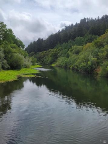 Guerneville CA 95446