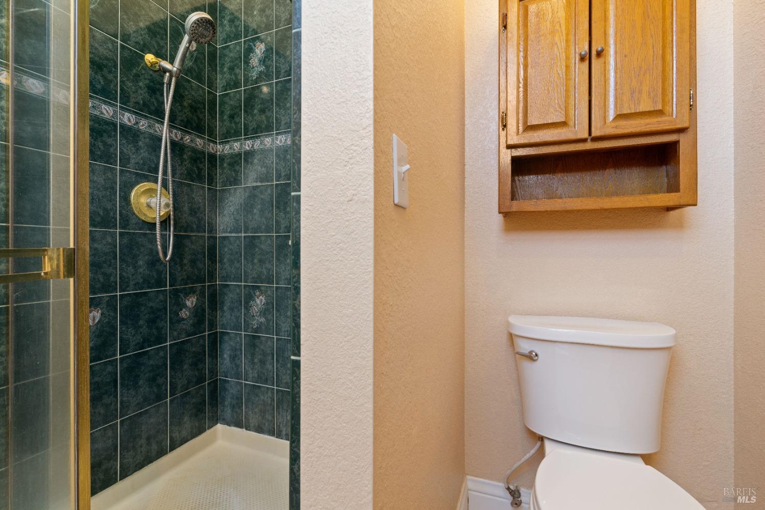 2210 Cedar Hill Way Lakeport CA 95453