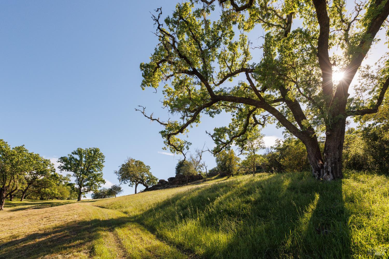 6225 W Soda Rock Lane Healdsburg CA 95448