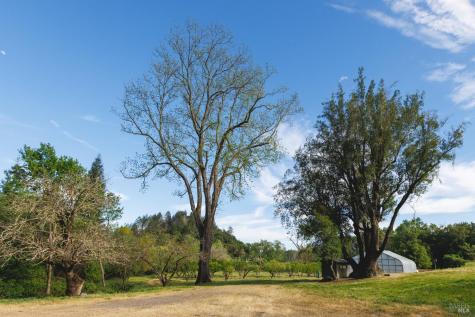 6225 W Soda Rock Lane Healdsburg CA 95448