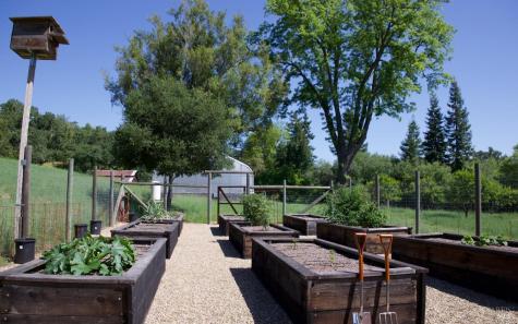 6225 W Soda Rock Lane Healdsburg CA 95448