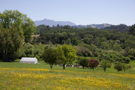 6225 W Soda Rock Lane Healdsburg CA 95448