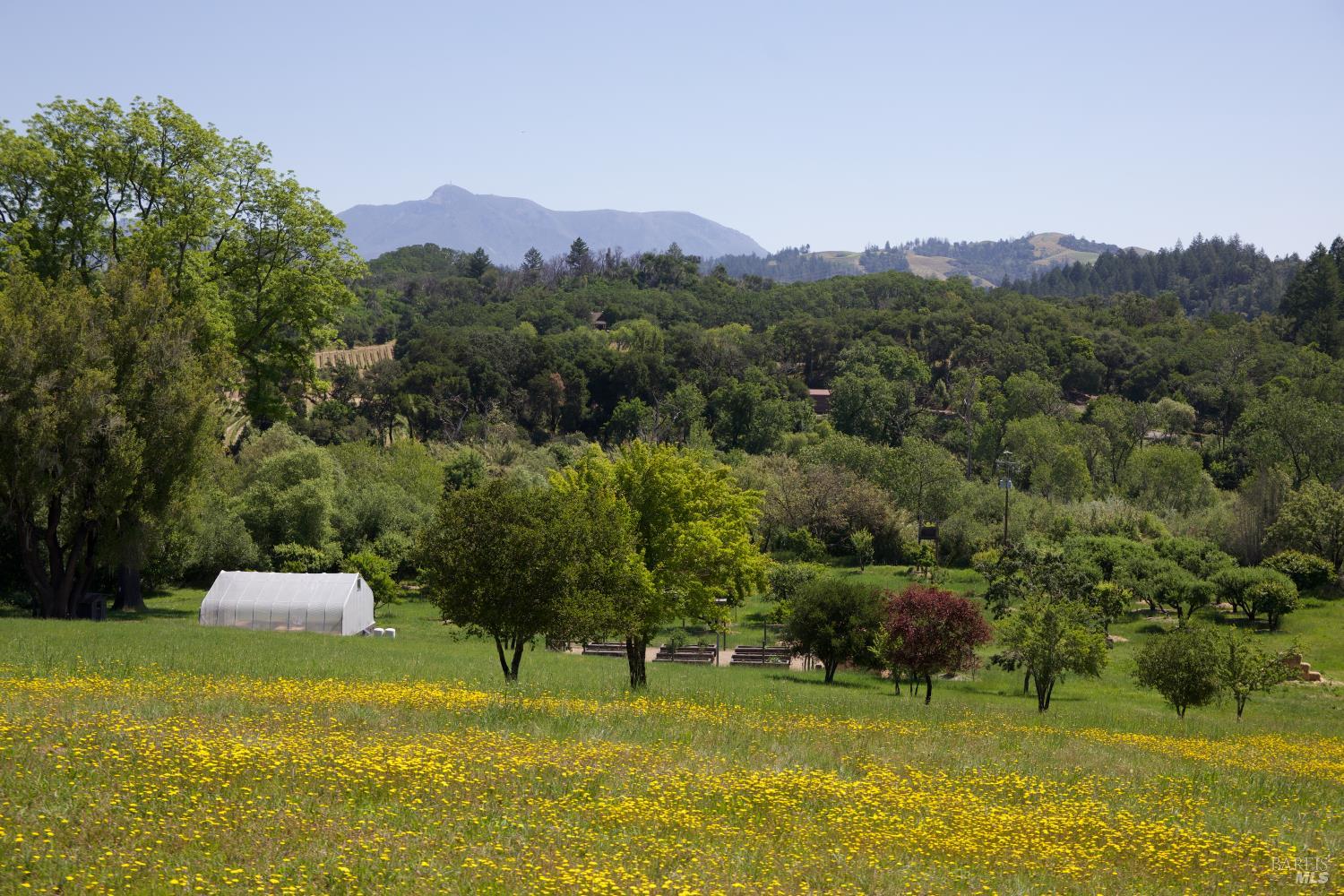 6225 W Soda Rock Lane Healdsburg CA 95448