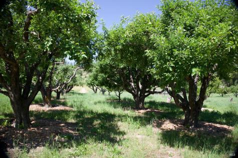 6225 W Soda Rock Lane Healdsburg CA 95448